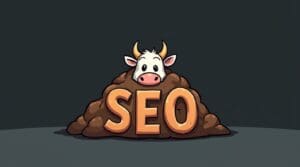 BS SEO